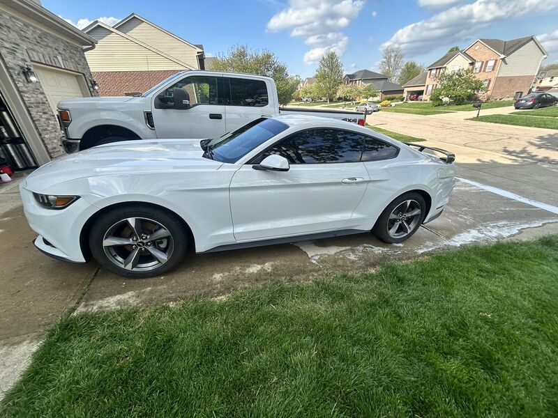 White Ford Mustang coupe freshly hand-washed and detailed in a residential driveway